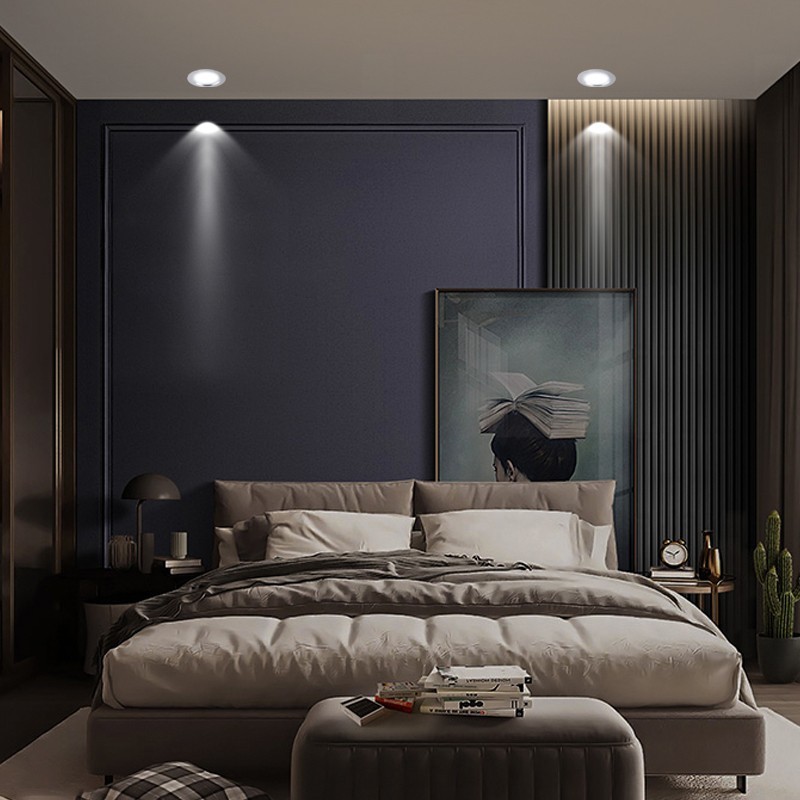 ����Ͳ��