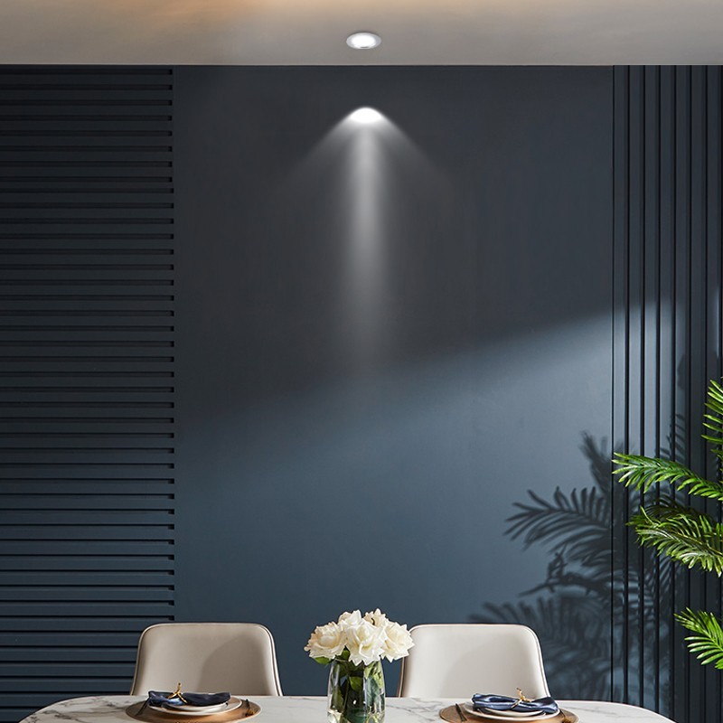 ����Ͳ��