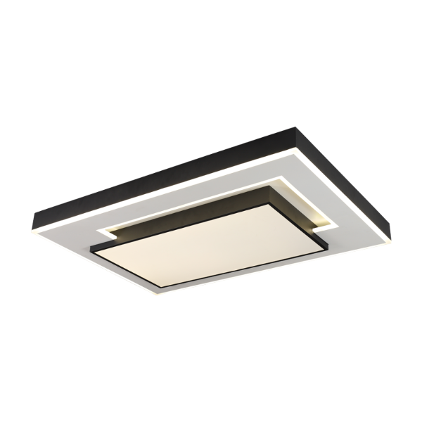 �ִ�������