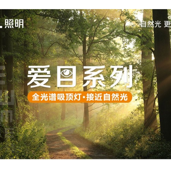 ȫ�������������������ơ���Ŀϵ�������ǳ���