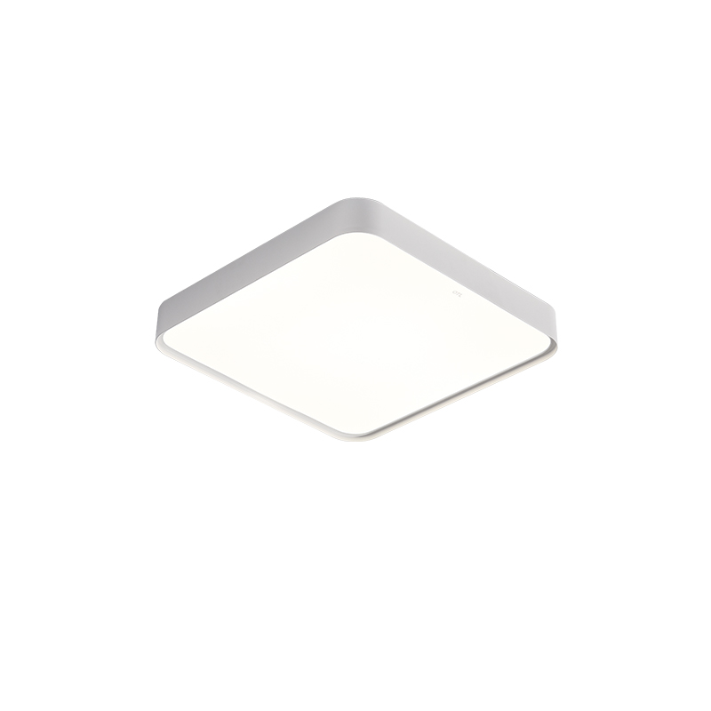 ���������ҵ�