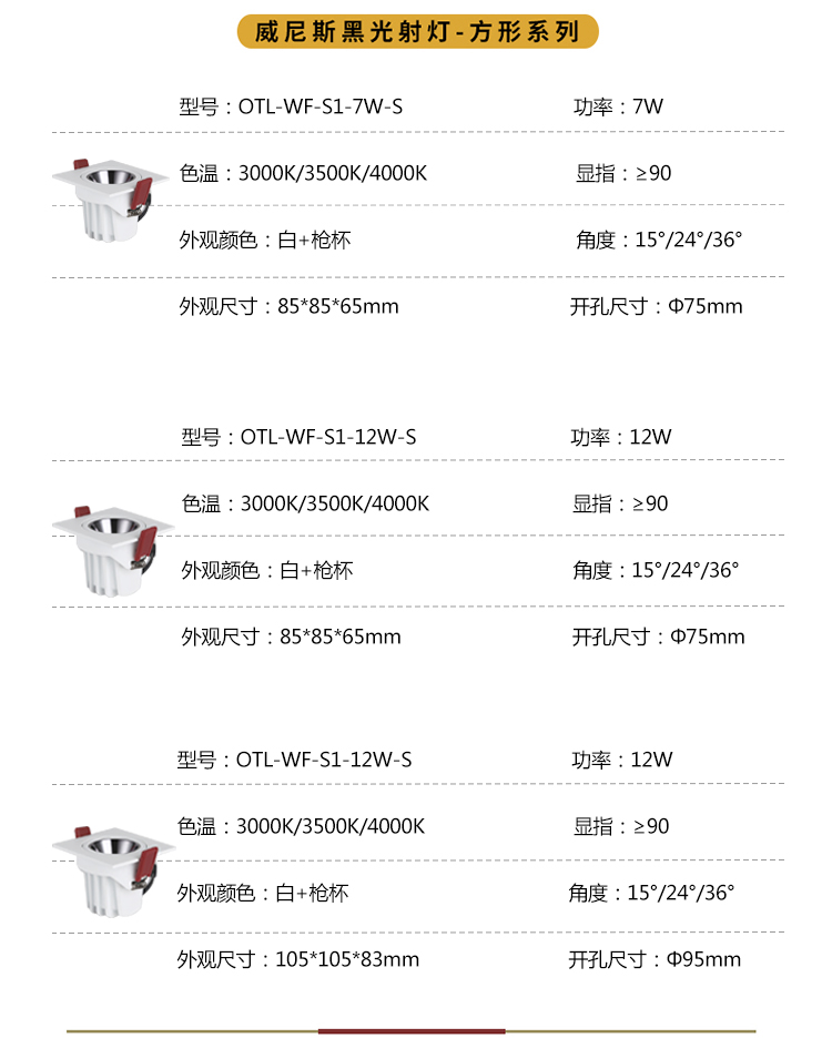 ����˹�ڹ���� 