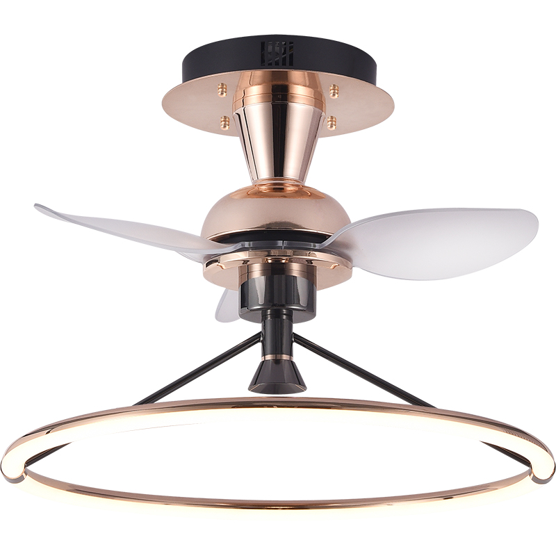 �ִ�������