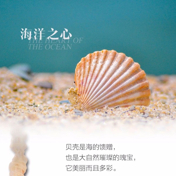 OTL�������̼���,�Ҿӵ���������,��ɽ�ƾ�Ʒ�Ƴ�����led�����ƾ߳���