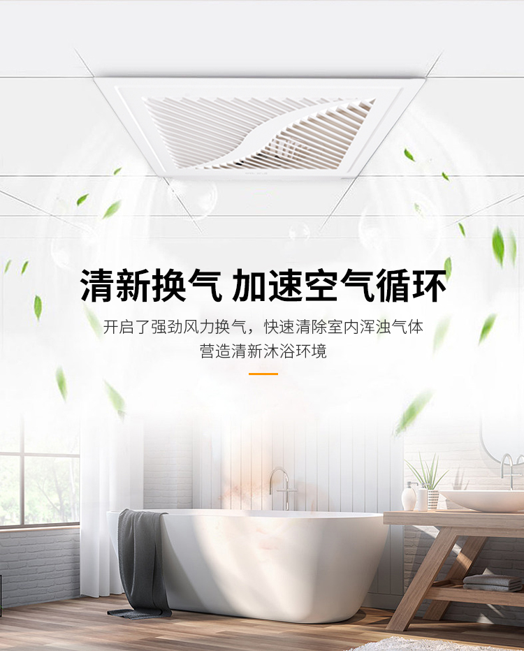 ������_01